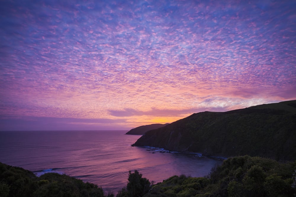 WS-42245-03