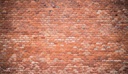WS-45677-03