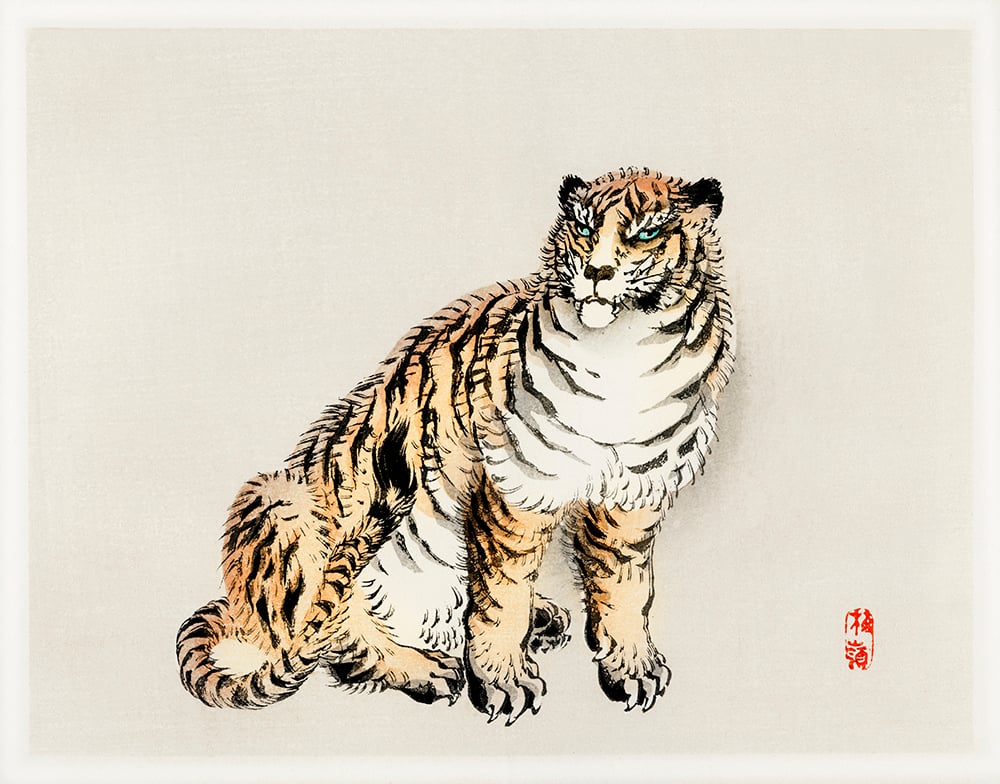 WS-68509-02