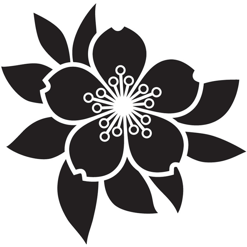 WS-15501-03
