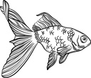 WS-50871-03