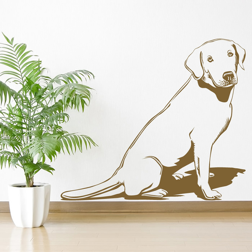 WS-17469-02
