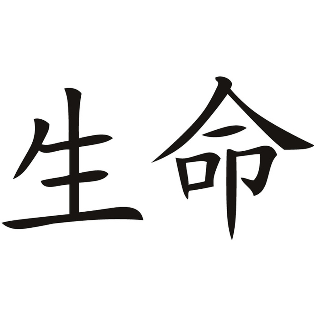 WS-16087-03