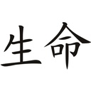 WS-16087-03