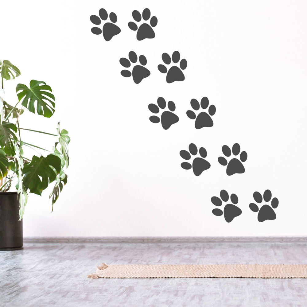 WS-69796-02