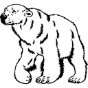WS-32887-03