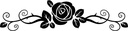 WS-17065-03