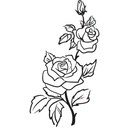 WS-15508-03