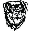 WS-34717-03