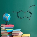 WS-71082-02