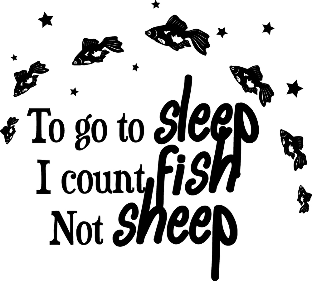 WS-41389-03