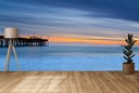 Balboa Pier Wall Mural by Sean Davey