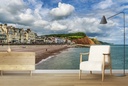Budleigh, Exmouth Wall Mural by Gary Holpin