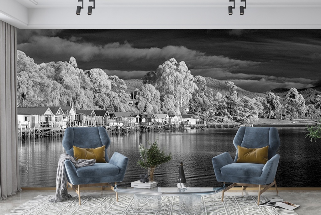Cornelian Bay Wall Mural by Sean Davey