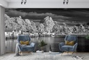 Cornelian Bay Wall Mural by Sean Davey