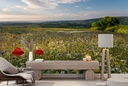 Countryside Spring Afternoon Wall Mural by Andrew Wheatley