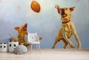 Game Point Wall Mural by Lucia Heffernan