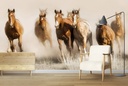 Heading Home Wall Mural by Lisa Dearing