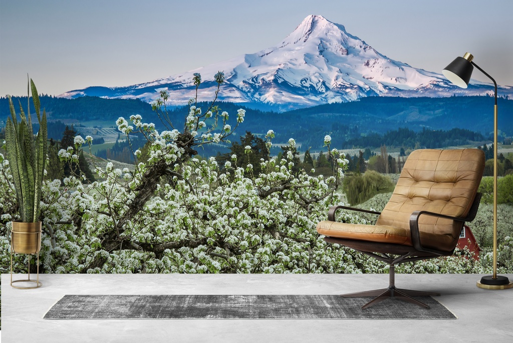 Hood River Barn Wall Mural by Don Schwartz