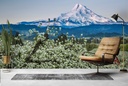 Hood River Barn Wall Mural by Don Schwartz