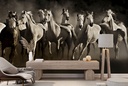 Horses Wall Mural by Lisa Dearing