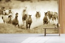 Like a Second Skin Wall Mural by Lisa Dearing