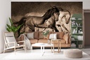 Like the Wind Wall Mural by Lisa Dearing