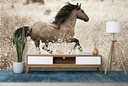 Mountain Range Mavericks Wall Mural by Lisa Dearing