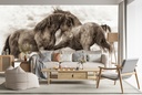 Outlaws Wall Mural by Lisa Dearing