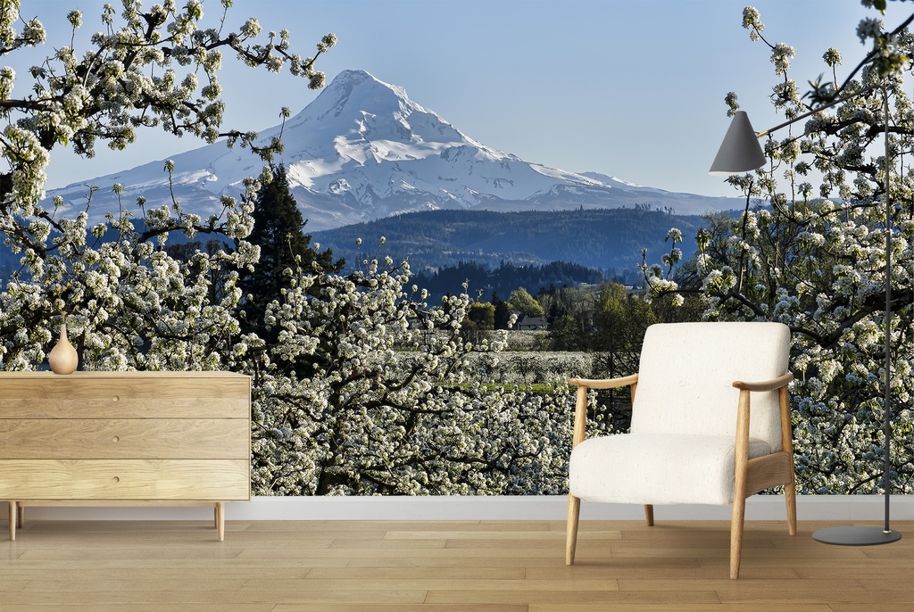Pear Blossom Majesty Wall Mural by Don Schwartz