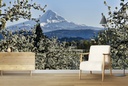 Pear Blossom Majesty Wall Mural by Don Schwartz