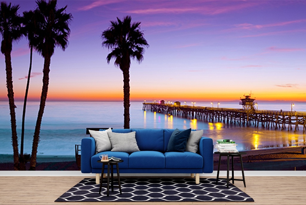 San Clemente Pier Wall Mural by Sean Davey