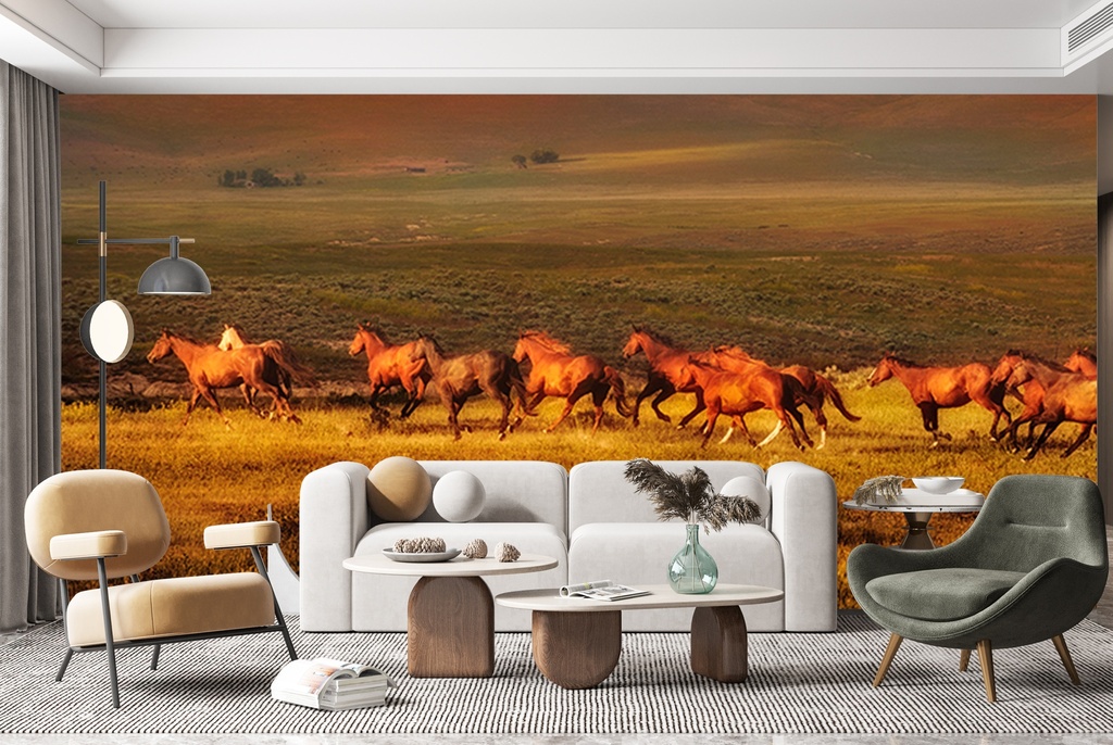 San Cristobal Horses Wall Mural by Lisa Dearing