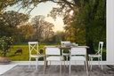 Springtime at Hidcote Wall Mural by Andrew Roland