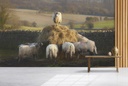 Top of the Flock Wall Mural by Andrew Roland
