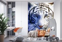 White Tiger Eyes Wall Mural by David Penfound