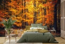 Autumn Forest Path Wall Mural Wallpaper