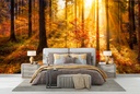 Autumn Forest Sunset Panoramic Wall Mural Wallpaper