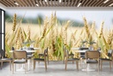 Field Of Wheat Food Kitchen Wall Mural Wallpaper