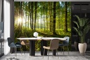 Green Trees Sunlit Forest Wall Mural Wallpaper