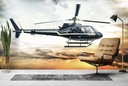 Helicopter Flight Wall Mural Wallpaper