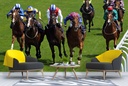 Horse Racing Jockey Sport Wall Mural Wallpaper