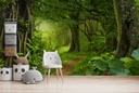Into The Jungle Wall Mural Wallpaper