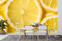 Lemon Slice Wall Mural Wallpaper