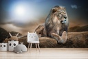 Majestic Lion Wall Mural Wallpaper