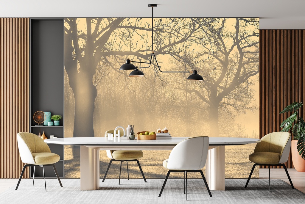 Misty Trees Wall Mural Wallpaper