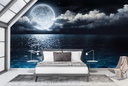 Ocean Moon Wall Mural Wallpaper