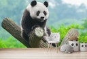 Panda Bear Wildlife Wall Mural Wallpaper