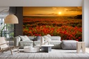 Poppy Field Sunset Wall Mural Wallpaper