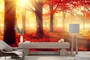 Red Autumn Forest Sunlit Trees Wall Mural Wallpaper